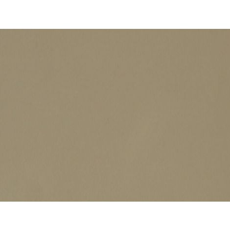 Фото Стеновая панель  ALPHALUX Бежевая  дымка F.0717, МДФ  4200*6*600мм. FENIX 1